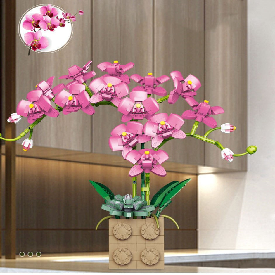 Brehn | Riesige blühende Orchideenblüten-Bausatzkollektion