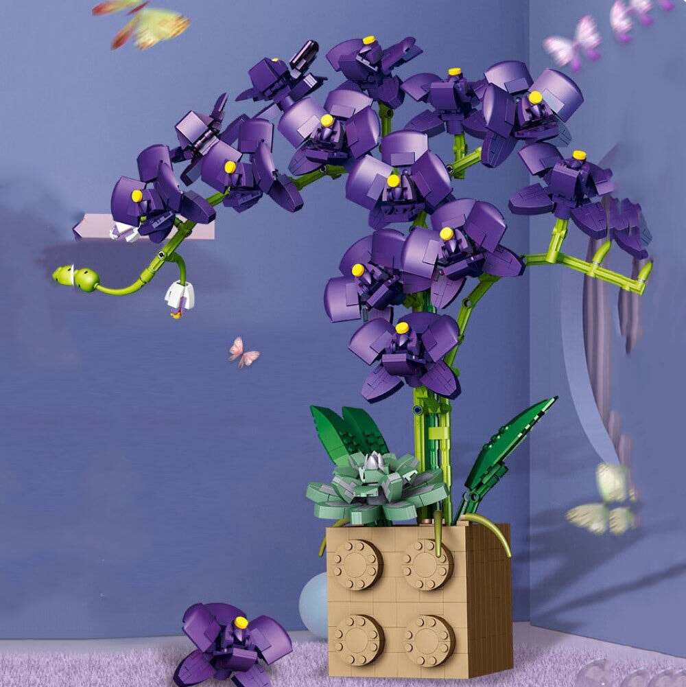 Brehn | Riesige blühende Orchideenblüten-Bausatzkollektion