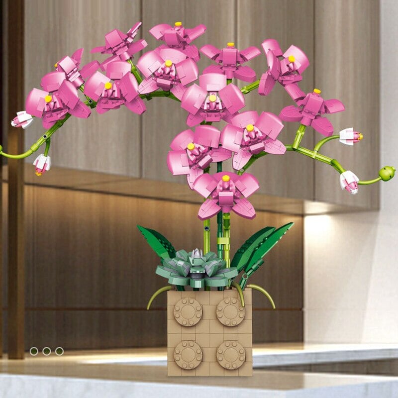 Brehn | Riesige blühende Orchideenblüten-Bausatzkollektion