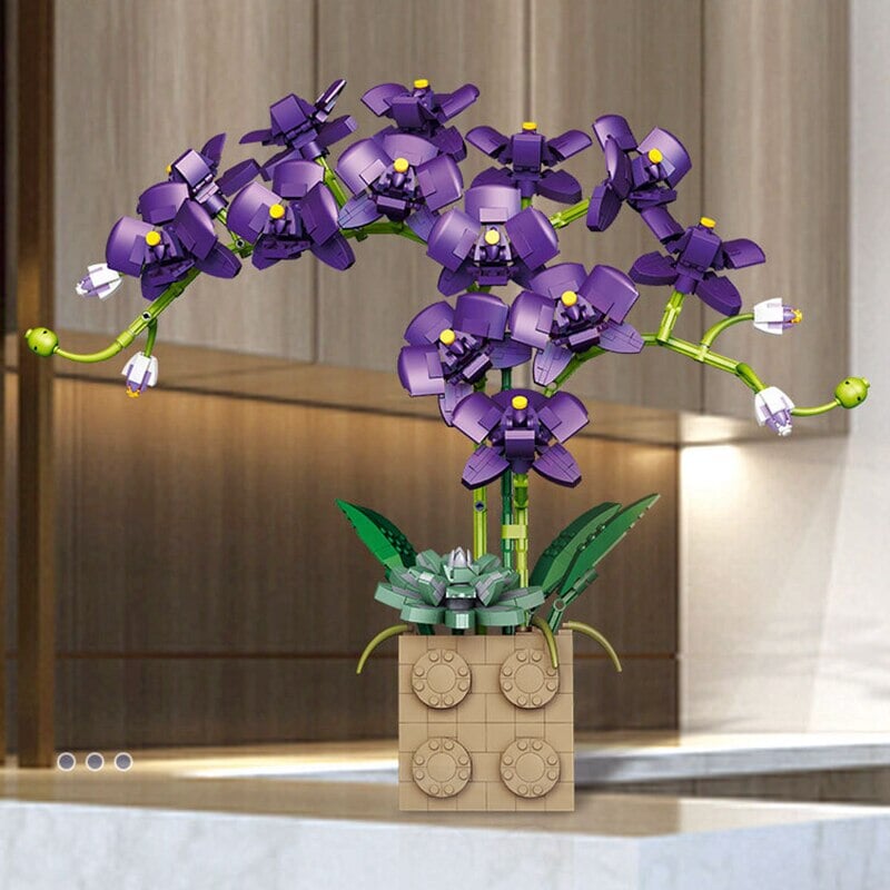 Brehn | Riesige blühende Orchideenblüten-Bausatzkollektion