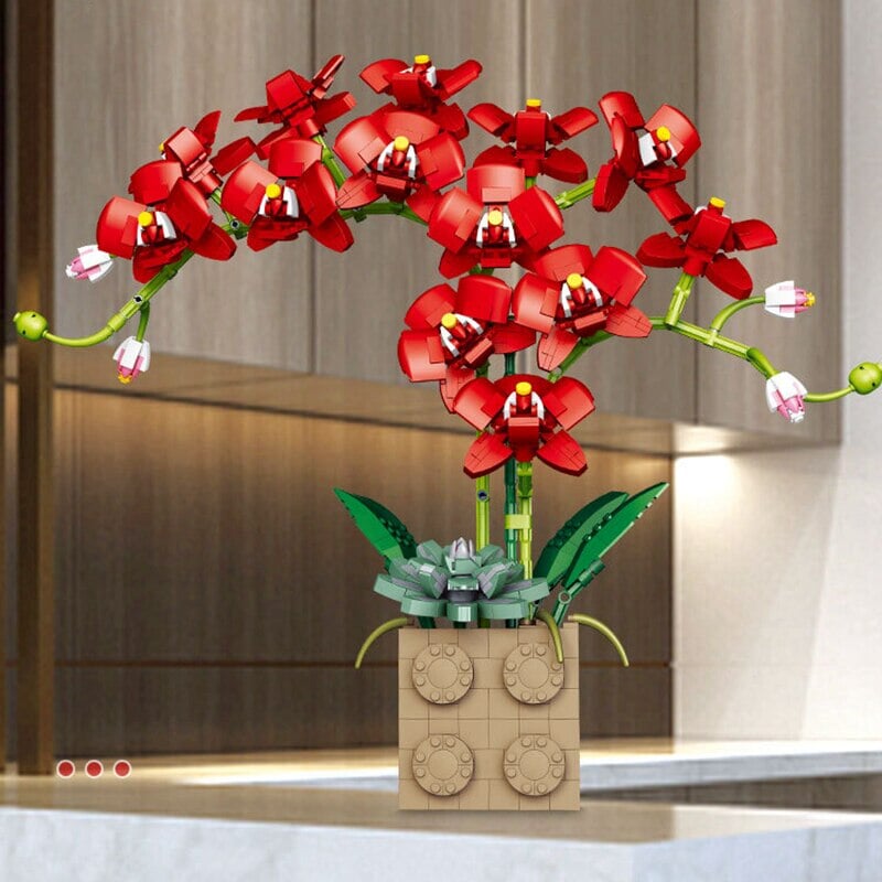Brehn | Riesige blühende Orchideenblüten-Bausatzkollektion