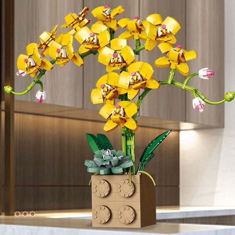 Brehn | Riesige blühende Orchideenblüten-Bausatzkollektion