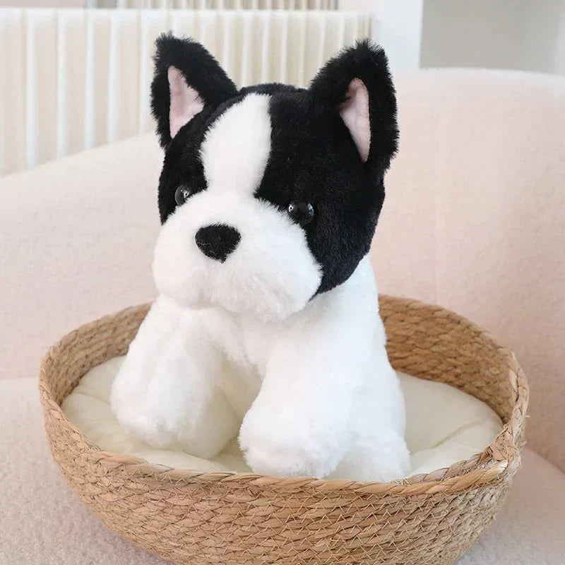 Brehn | Kawaii Beige Weiß Französische Bulldogge Plüschtiere