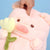 Brehn | Kawaii Chunky Schwein mit Blume Plüschspielzeug
