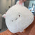 Brehn | Kawaii Fluffy Cat Weiche Kissen Plüschfigur