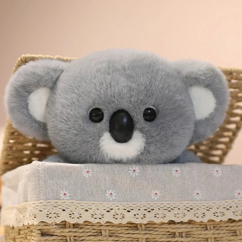 Brehn | Koko der Kawaii Koala Plüschie