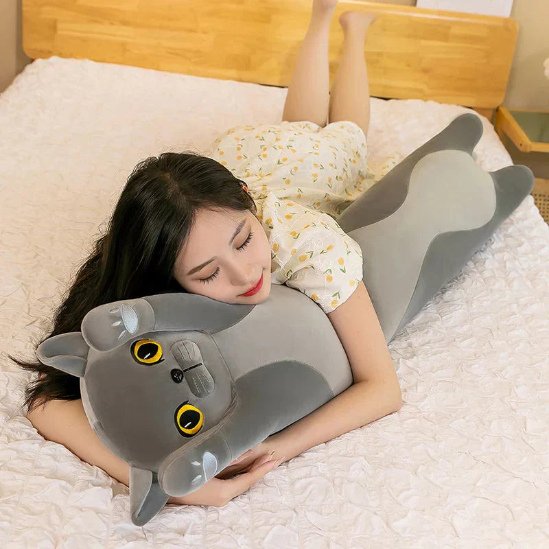 Brehn | Lange Schnurrende Katze Siamese British Shorthair Snowshoe Plüschkollektion