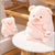 Brehn | Peaches das Kawaii Schwein Plüschie