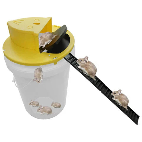Wiederverwendbare Lebendfalle für Mäuse & Ratten | Brehn