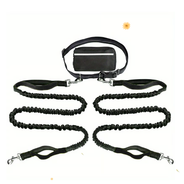 FlowLeash — Erleben Sie sanfte Kontrolle und entspannte Gassirunden ohne Rucke! | Brehn