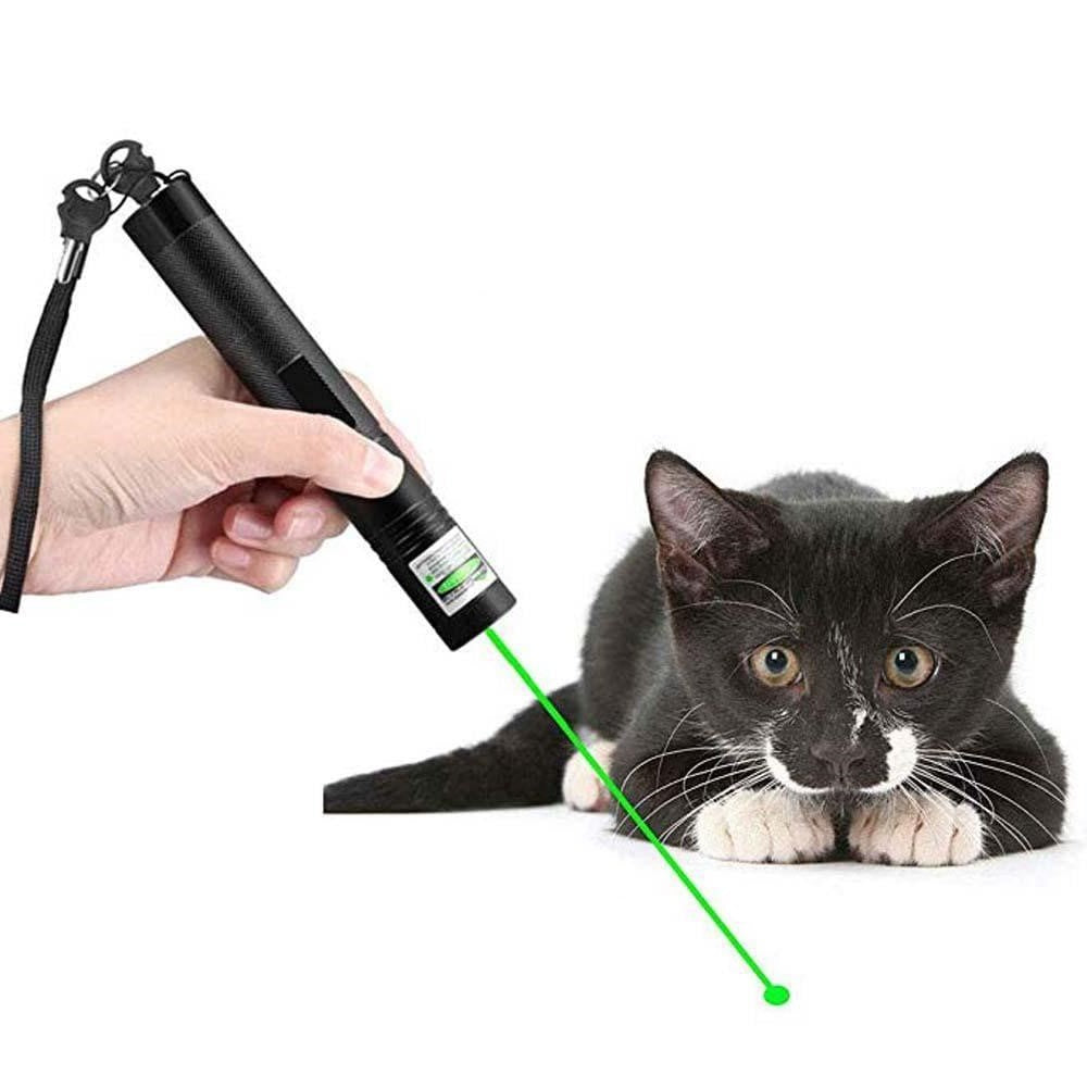 Hochleistungs-Laserpointer 303 | Starker grüner Strahl für große Entfernungen