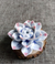 Brehn | Lotusblumen Räuchergefäß | Stilvolles Design