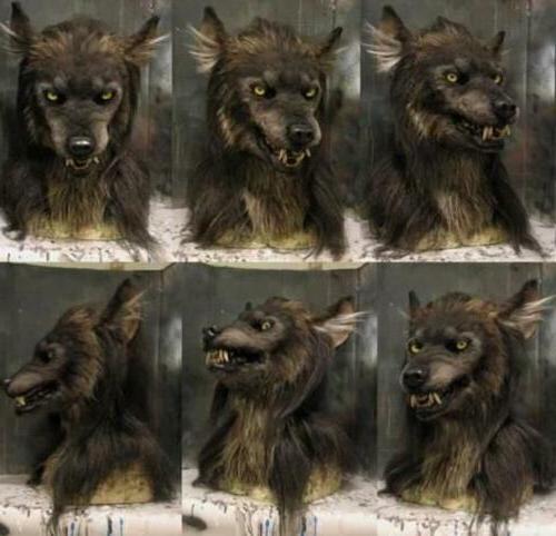 LUPINMASK – Realistische Werwolfmaske für Halloween & Cosplay