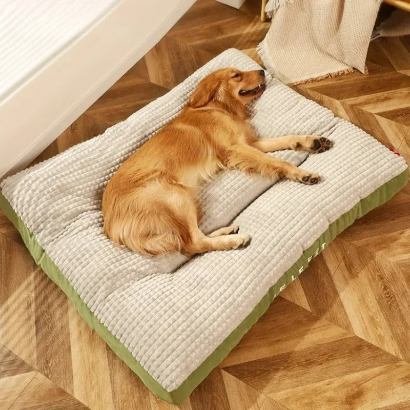 Brehn | PawSupport Komfort