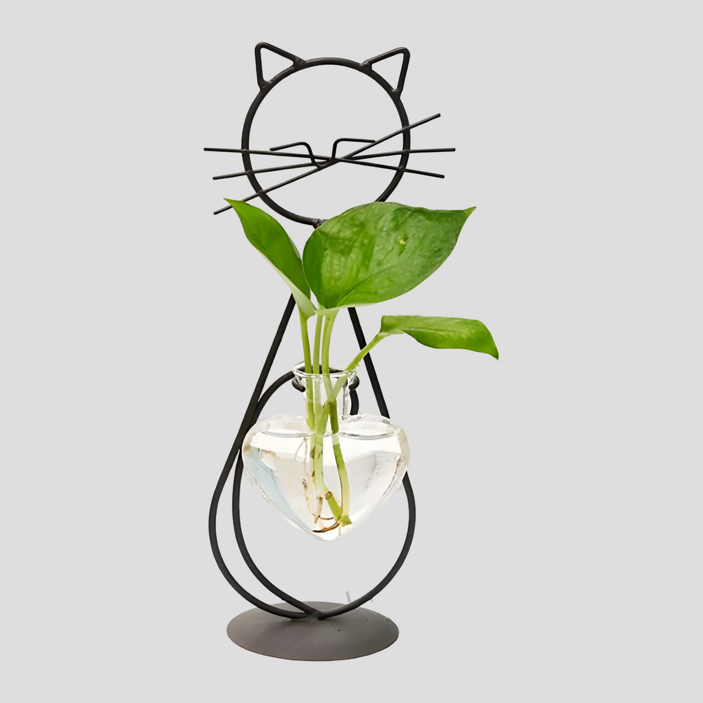 AquaPurr Vase - Hydroponische Glas Herzvase mit katzenförmigem Halter | Brehn