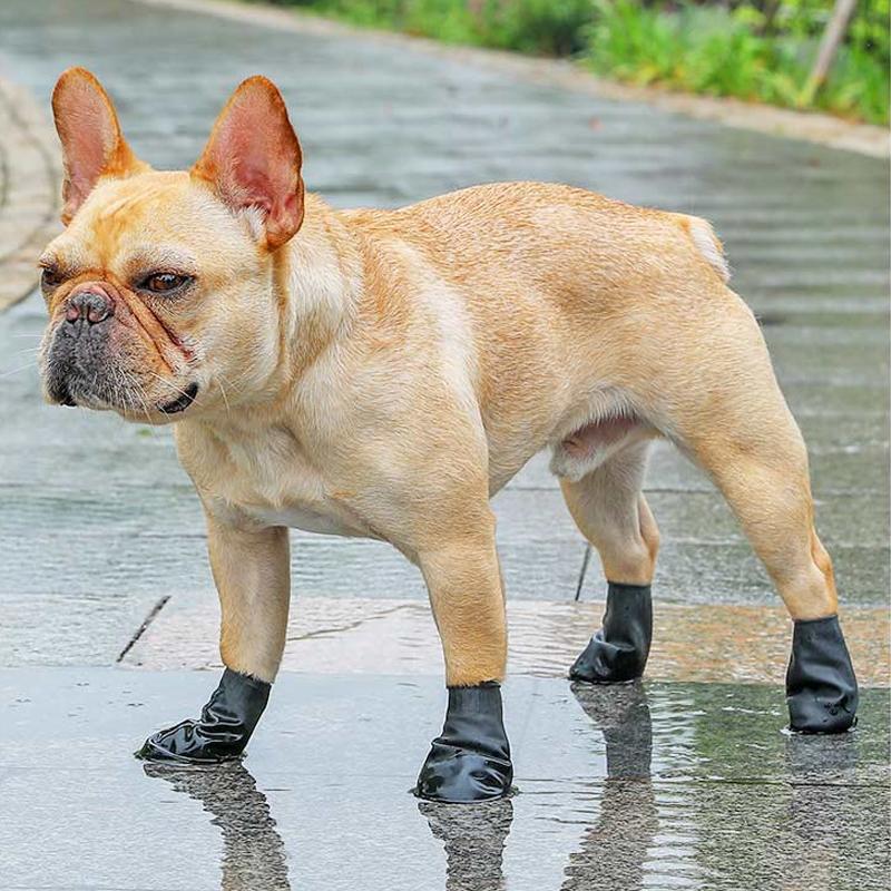 Brehn | PootShield Wasserdichte Hundeschuhe mit Grip und schützendem Komfort