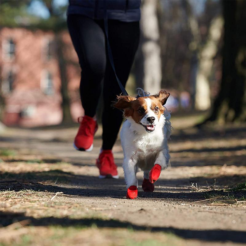 Brehn | PootShield Wasserdichte Hundeschuhe mit Grip und schützendem Komfort