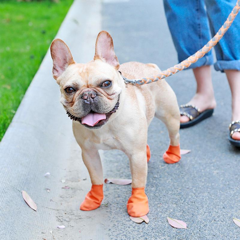 Brehn | PootShield Wasserdichte Hundeschuhe mit Grip und schützendem Komfort