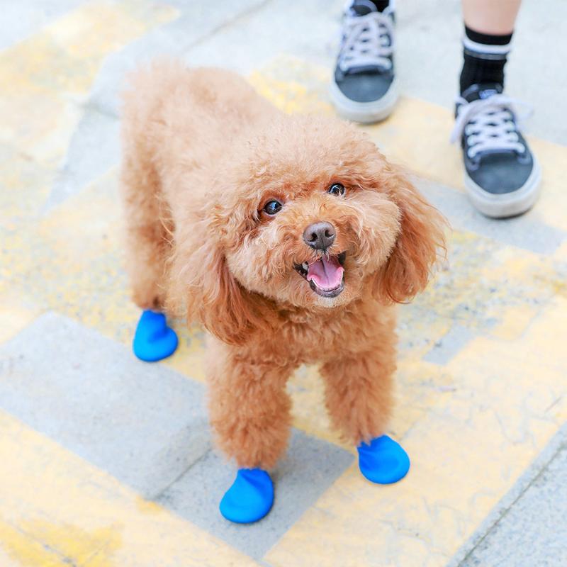 Brehn | PootShield Wasserdichte Hundeschuhe mit Grip und schützendem Komfort