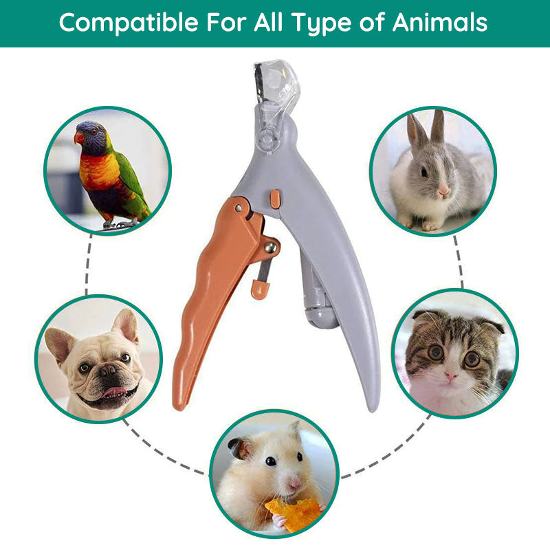 MAX - Bester Hundekratzer mit Quick-Sensoren | Sicher & Ergonomisch | Brehn