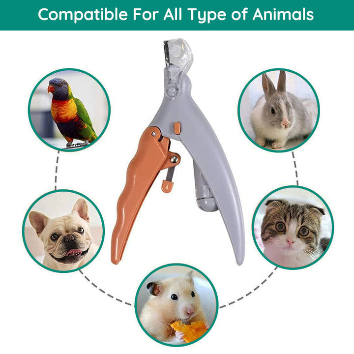 MAX - Bester Hundekratzer mit Quick-Sensoren | Sicher & Ergonomisch | Brehn