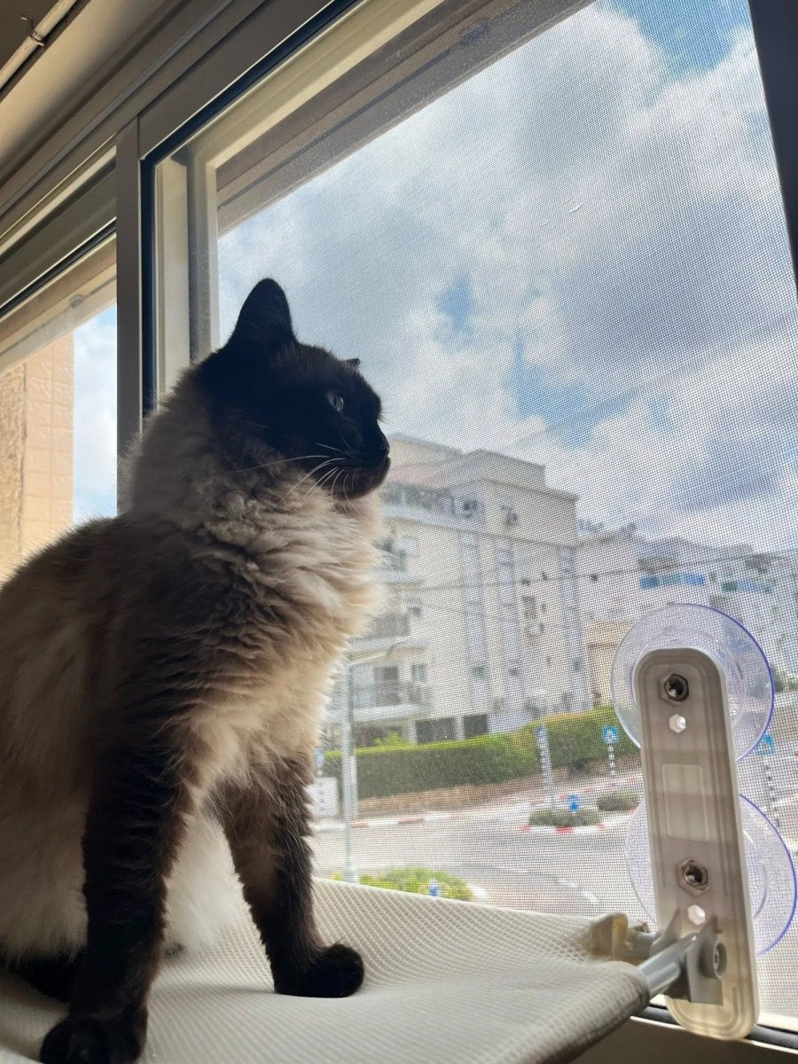 PAWPERCH – Faltbare Katzenhängematte mit wandfreundlicher Halterung | Fenstersitz ohne Bohren
