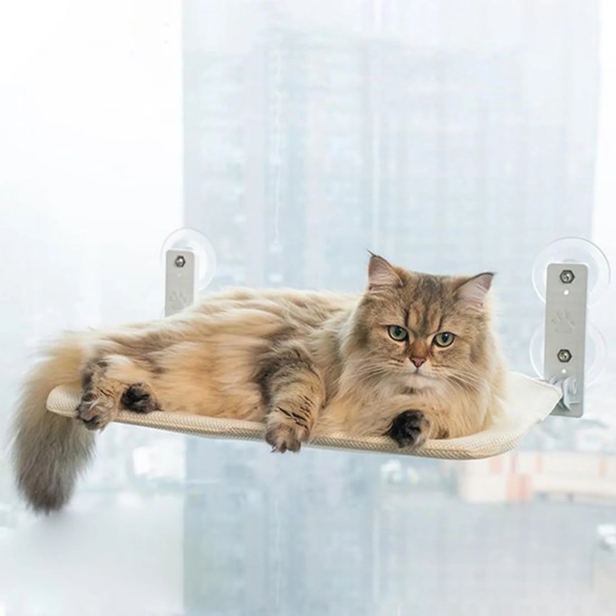 PAWPERCH – Faltbare Katzenhängematte mit wandfreundlicher Halterung | Fenstersitz ohne Bohren