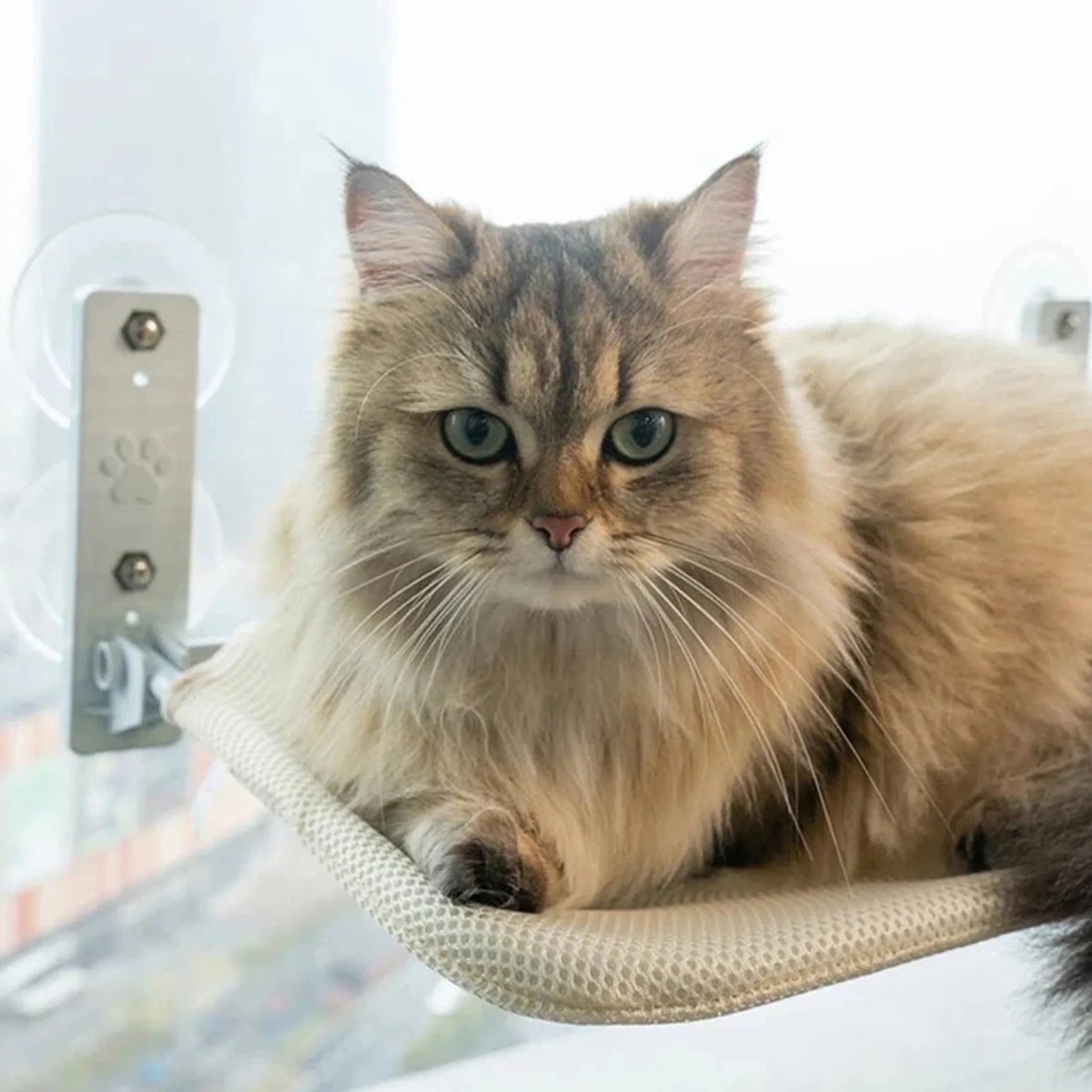 PAWPERCH – Faltbare Katzenhängematte mit wandfreundlicher Halterung | Fenstersitz ohne Bohren