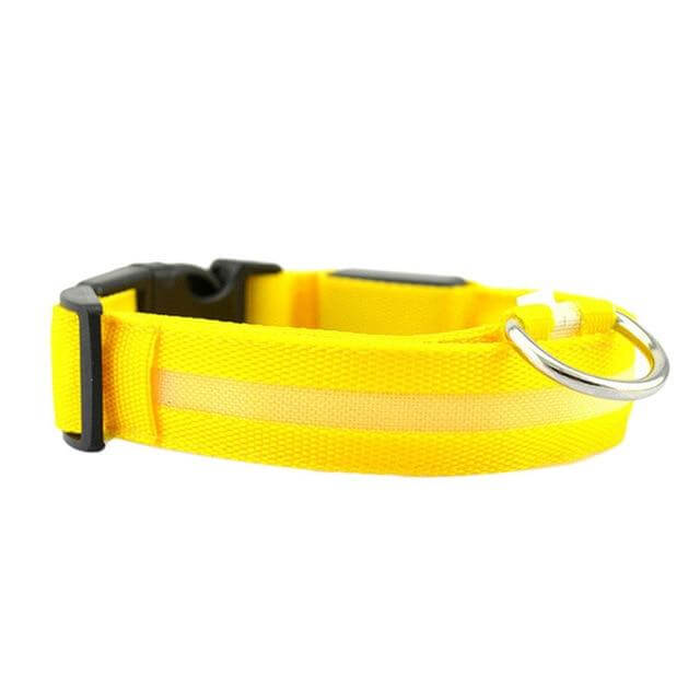 GlowPets LED-Halsband – Sicherheit und Sichtbarkeit für Haustiere