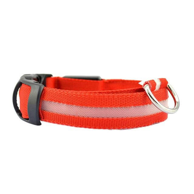 GlowPets LED-Halsband – Sicherheit und Sichtbarkeit für Haustiere