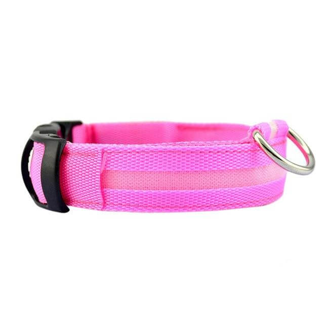 GlowPets LED-Halsband – Sicherheit und Sichtbarkeit für Haustiere