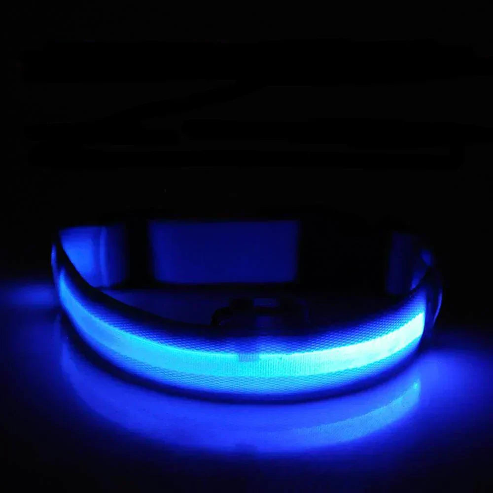 GlowPets LED-Halsband – Sicherheit und Sichtbarkeit für Haustiere