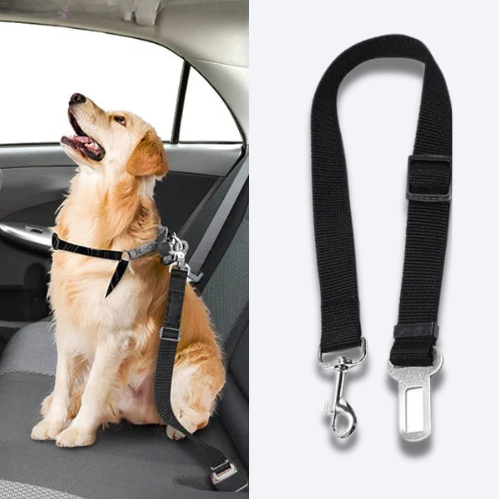 PetSecure • Hund Sicherheitsgurt