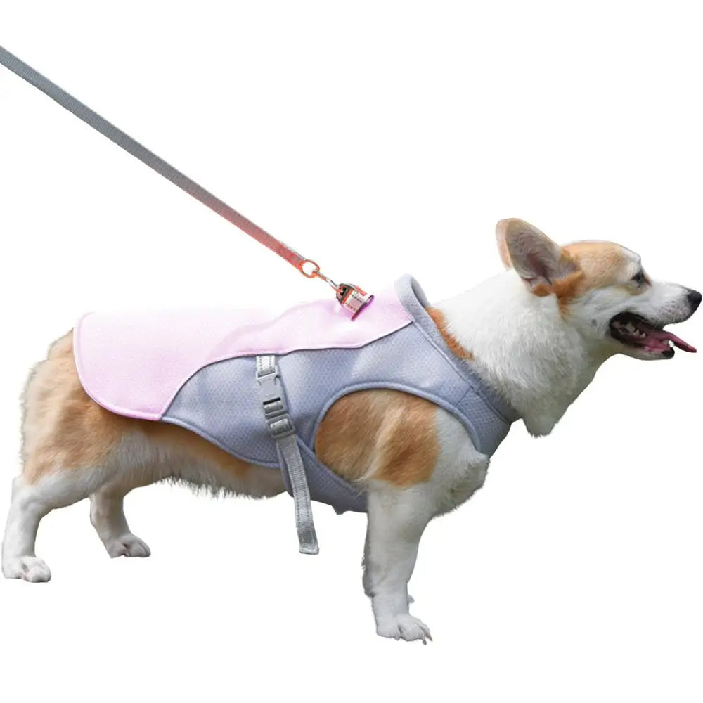 Hundekühlweste für Outdoor-Aktivitäten | Brehn