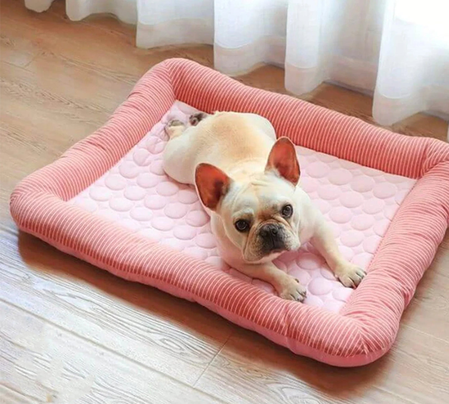 Kühlendes Hundebett mit Eis-Seidenmaterial | Brehn