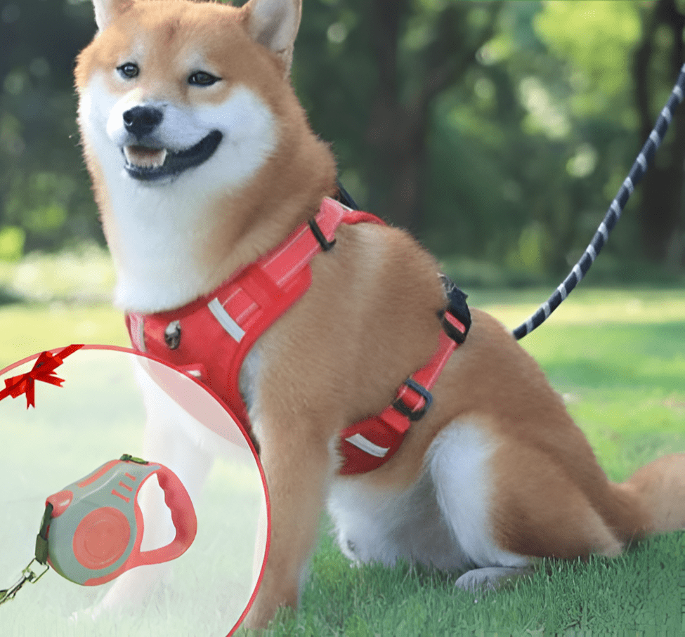DogGrip Spazieren Sie mit Ihrem Hund sicher | Brehn