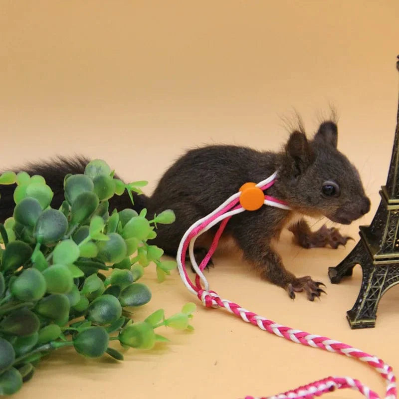 1,4m 2,0m Verstellbare Haustier Hamster Leine Geschirr Seil Gerbil Baumwollseil Geschirr Leine Halsband für Ratte Maus Hamster Haustier Käfig Leine | Brehn