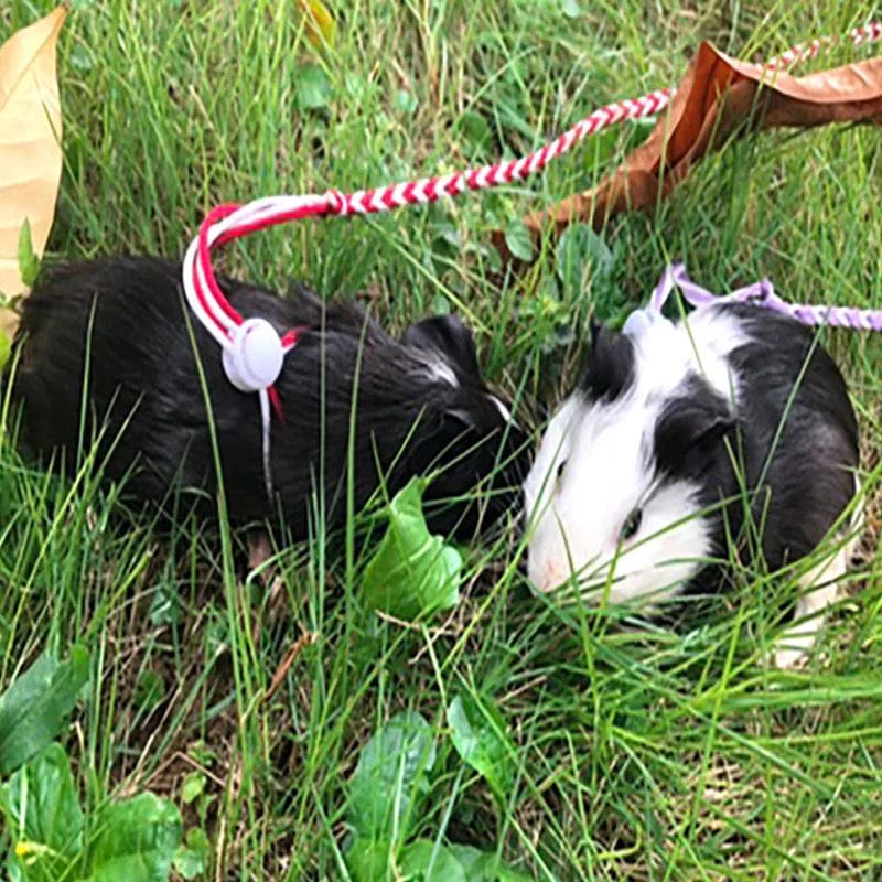 1,4m 2,0m Verstellbare Haustier Hamster Leine Geschirr Seil Gerbil Baumwollseil Geschirr Leine Halsband für Ratte Maus Hamster Haustier Käfig Leine | Brehn