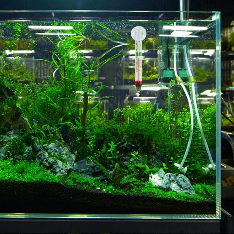 Schwebendes Aquarienthermometer Fischtank Glas Temperaturmesswerkzeug mit Saugnapf Fahrenheit Celsius Zubehör | Brehn