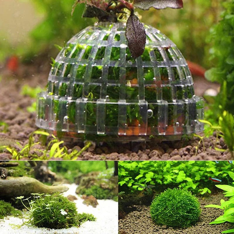 1pc Aquatische Haustierbedarf Dekorationen Aquarium Moosball lebende Pflanzen Filter für Java-Garnelen Fischtank Haustier Fischtank Dekor | Brehn