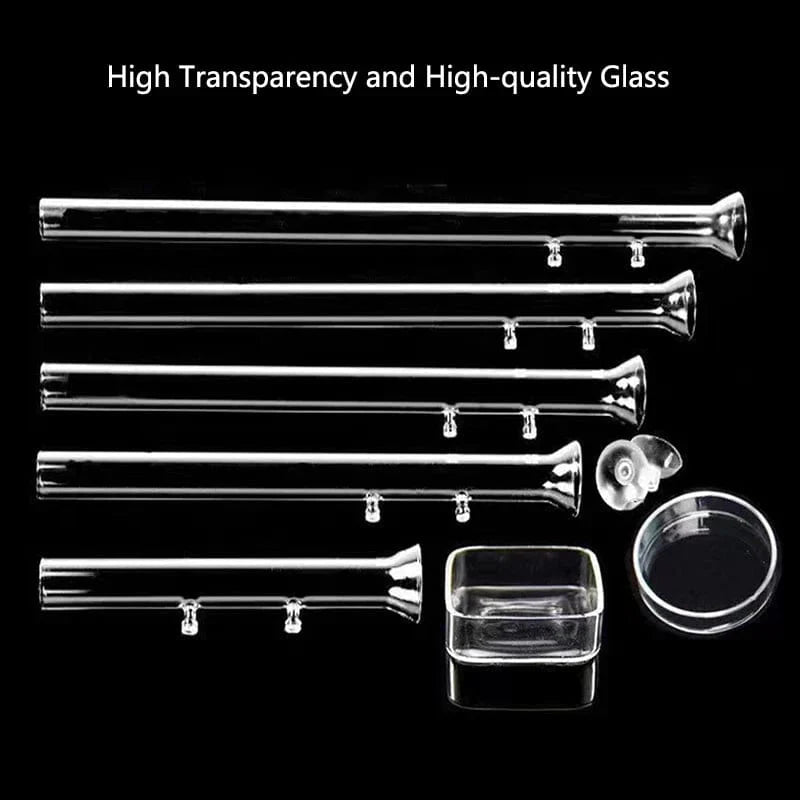 Verdickte Glas-Aquarium-Futterrohr-Schale Transparente Fischtank Garnelen Schnecken Futter Schüssel Aquarium Fischfütterungszubehör | Brehn