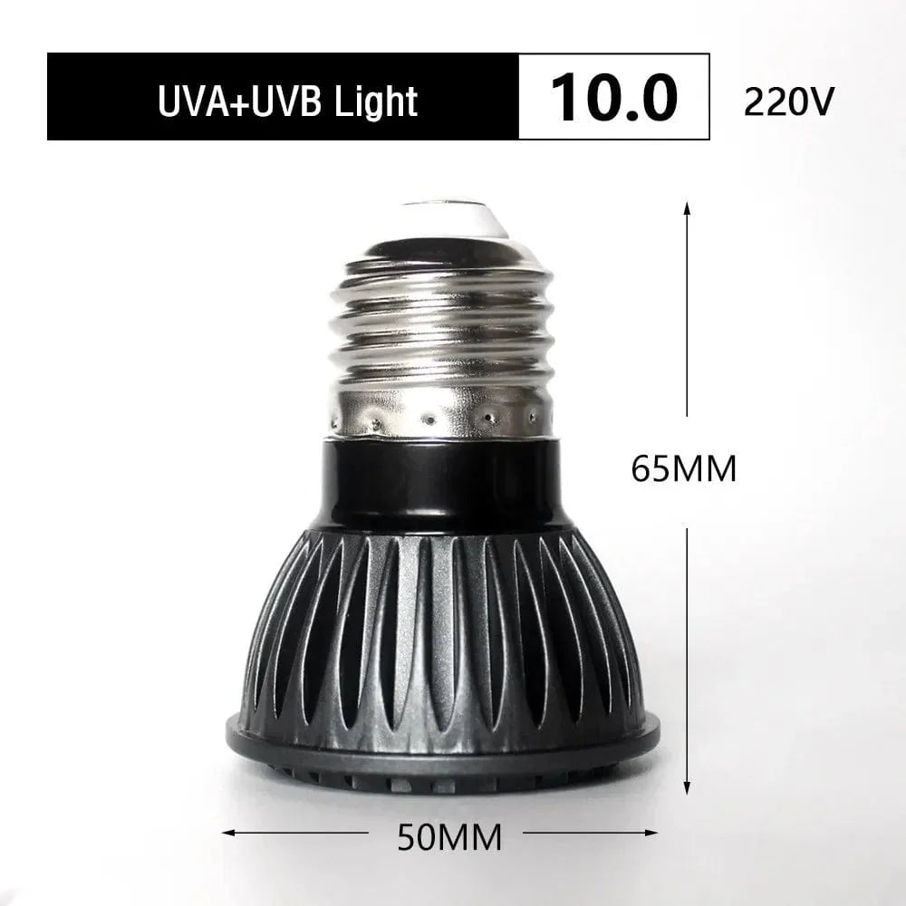 UVA + UVB LED Reptilienlicht Schildkröte Sonnenbadeplattform Vollspektrum Sonnenlampe Sonnenbaden Wärme lampe für Echsen Reptilien und Amphibien | Brehn