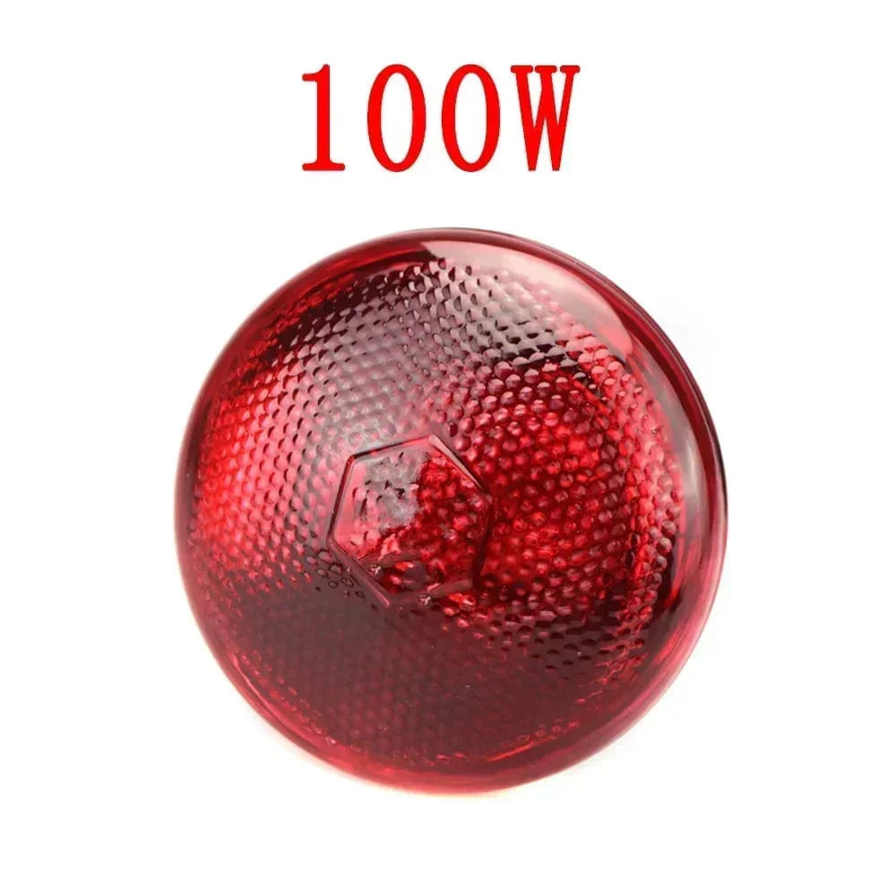 220V Geflügelheizlampe 100/150/200/275W Infrarot-Isolationsheizung für Reptilien Pflanzen Amphibien Haustiere Nutztiere | Brehn