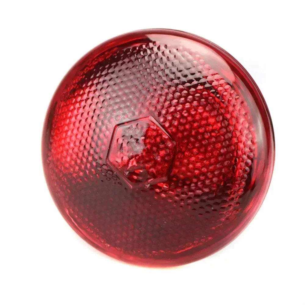 220V Geflügelheizlampe 100/150/200/275W Infrarot-Isolationsheizung für Reptilien Pflanzen Amphibien Haustiere Nutztiere | Brehn