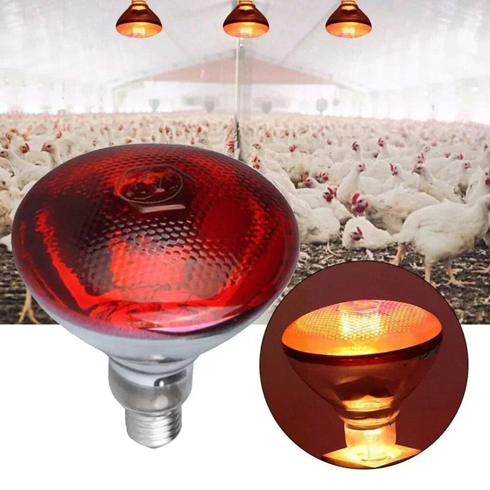 220V Geflügelheizlampe 100/150/200/275W Infrarot-Isolationsheizung für Reptilien Pflanzen Amphibien Haustiere Nutztiere | Brehn