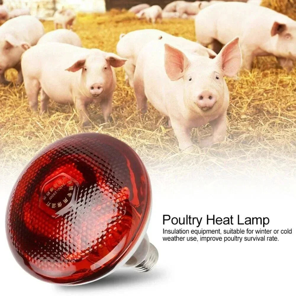 220V Geflügelheizlampe 100/150/200/275W Infrarot-Isolationsheizung für Reptilien Pflanzen Amphibien Haustiere Nutztiere | Brehn