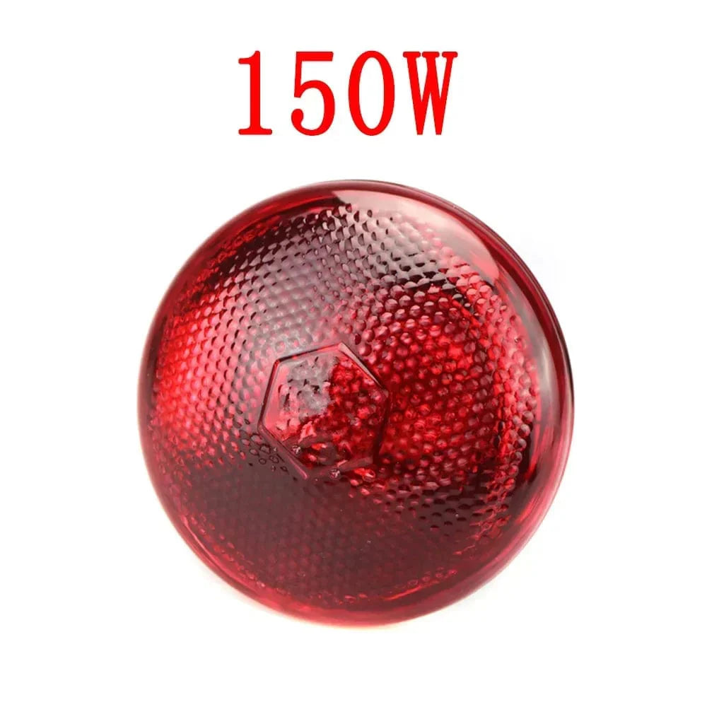 220V Geflügelheizlampe 100/150/200/275W Infrarot-Isolationsheizung für Reptilien Pflanzen Amphibien Haustiere Nutztiere | Brehn