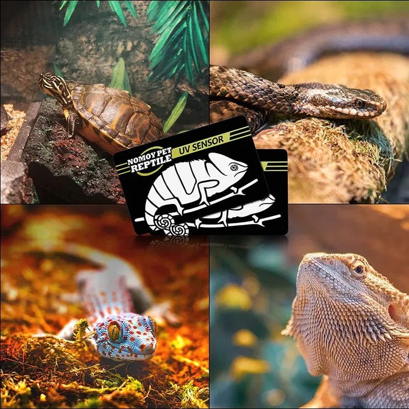 2 Stück Fluoreszierende Farbwechselkarte Reptilienbeleuchtung UVA UVB Tester Testkarte zur schnellen Erkennung von UVB Amphibienlampe | Brehn
