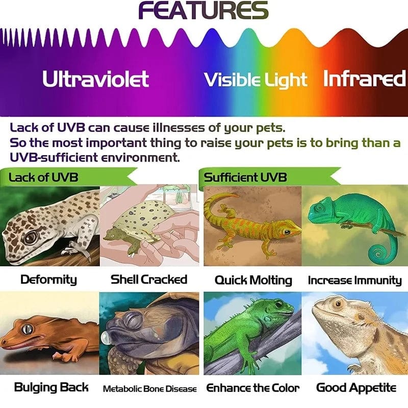 2 Stück Fluoreszierende Farbwechselkarte Reptilienbeleuchtung UVA UVB Tester Testkarte zur schnellen Erkennung von UVB Amphibienlampe | Brehn