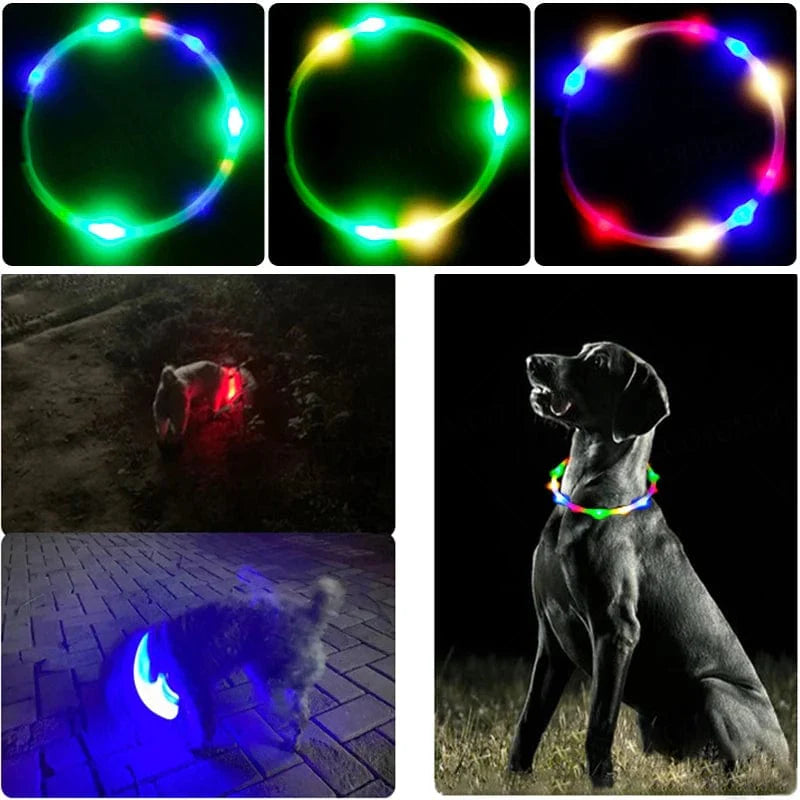 3 Modi Hund Luminou Ladehalsband Led Usb Katze Silikon Farbiger Kragen Abnehmbares Nachtleuchten Haustier Verlustprävention Hunde Zubehör | Brehn